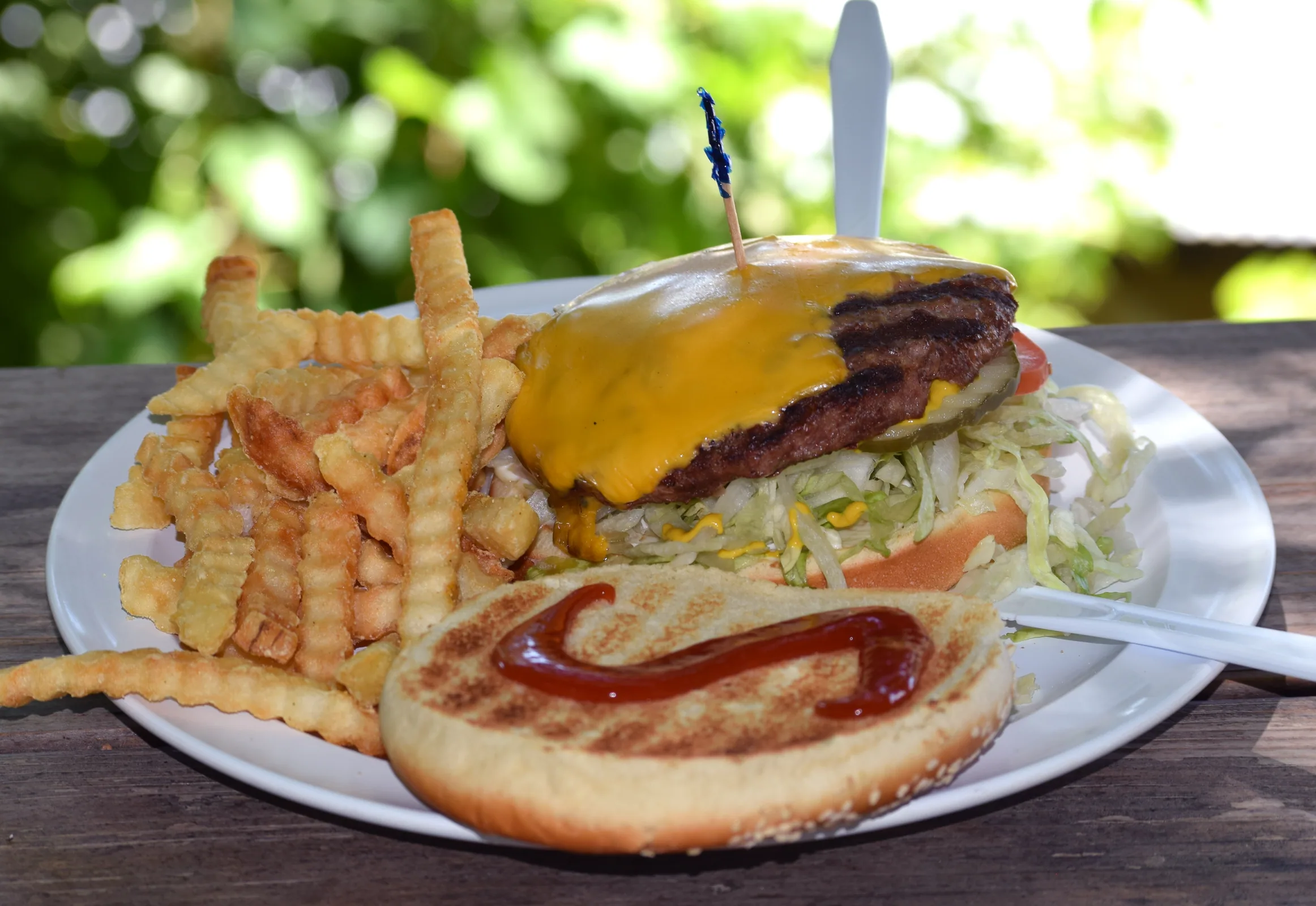A cheeseburger served with fries.