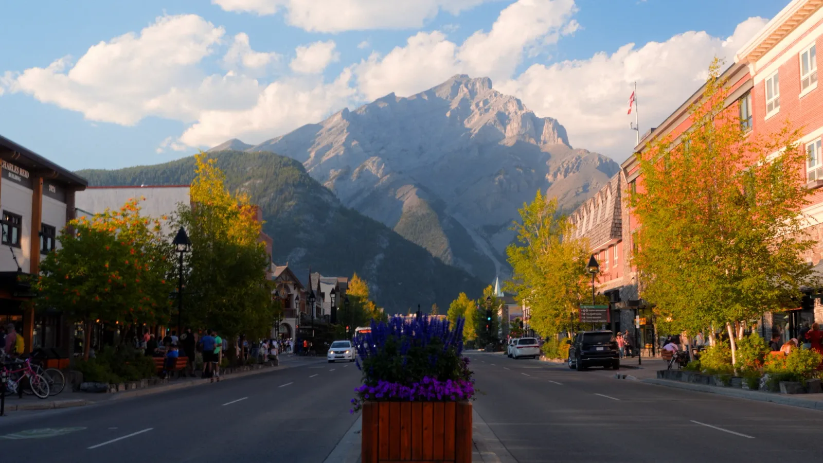 Banff Avenue framed by autumn trees with Cascade Mountain beyond.