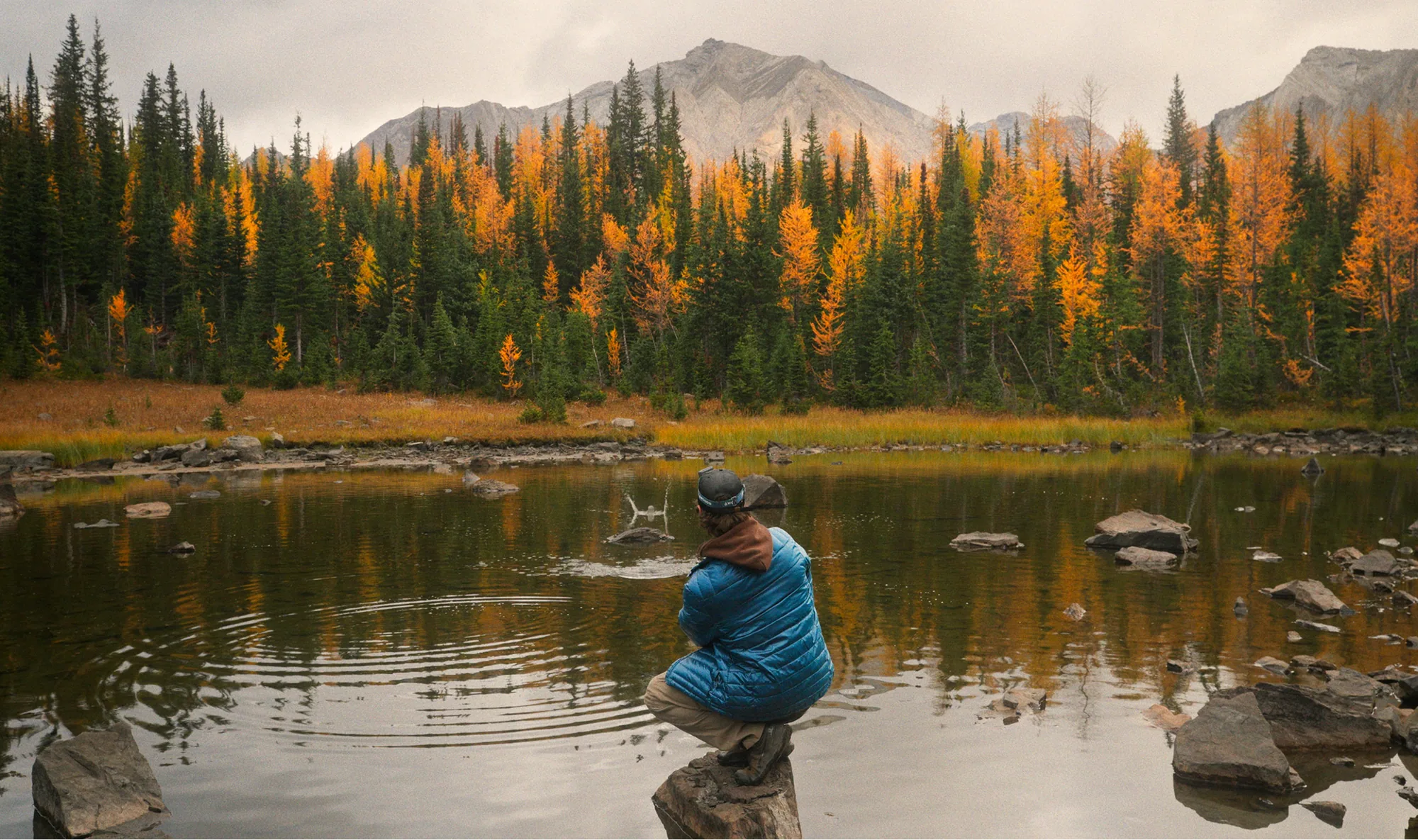 A photographer beside a small pond and golden larches near Pocaterra Ridge.