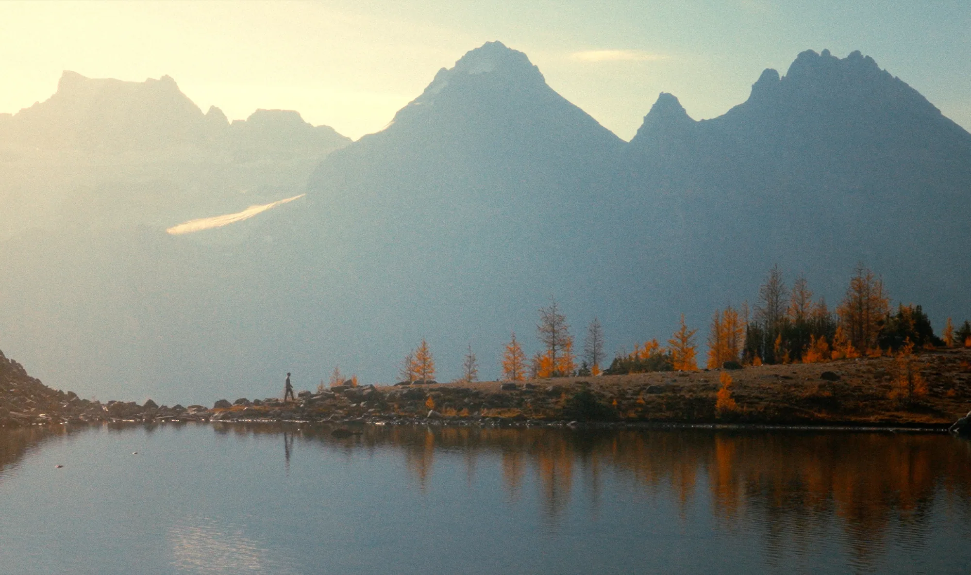 Golden larches beside an alpine lake in Larch Valley with rugged peaks behind them.