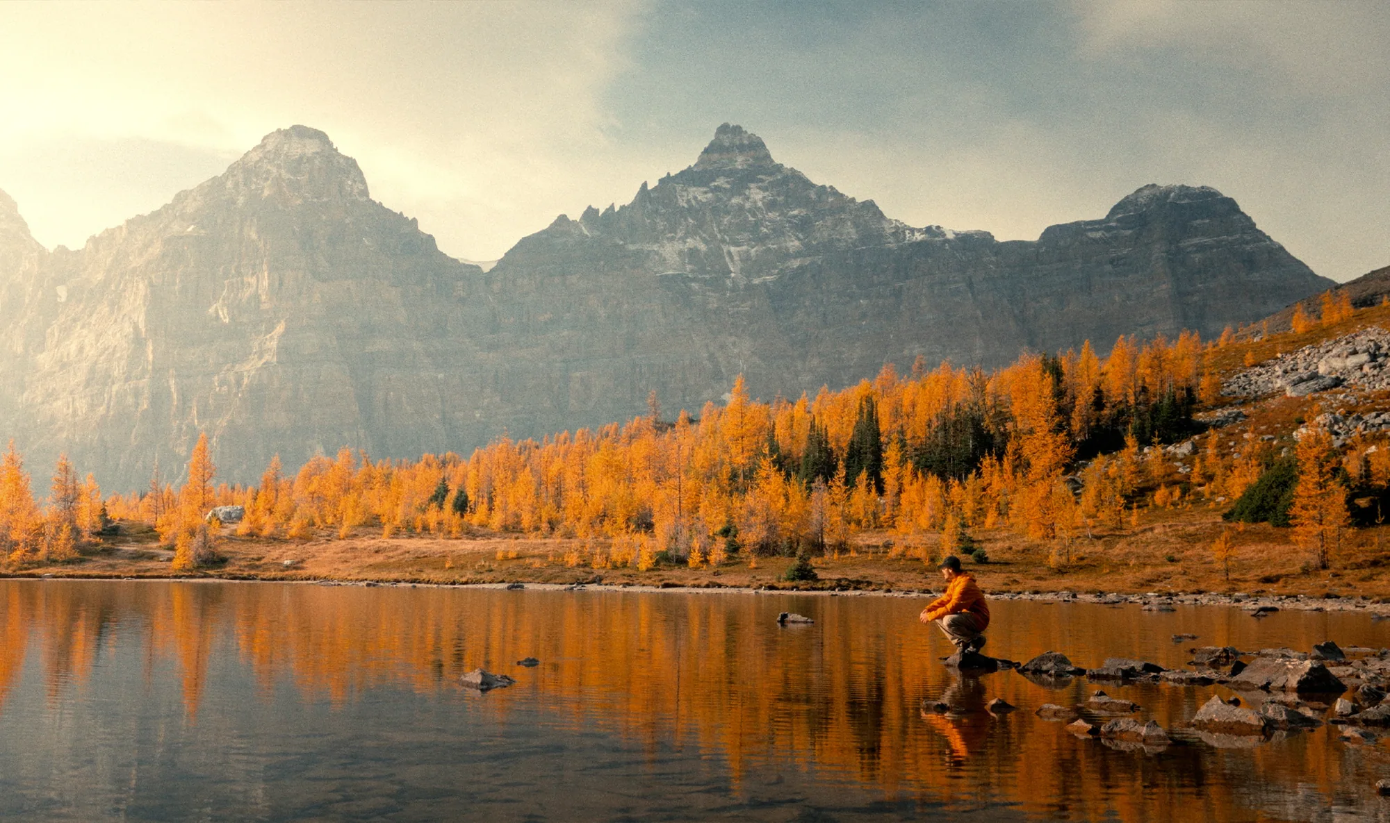 Golden larches reflected in an alpine lake in Larch Valley below rugged peaks.