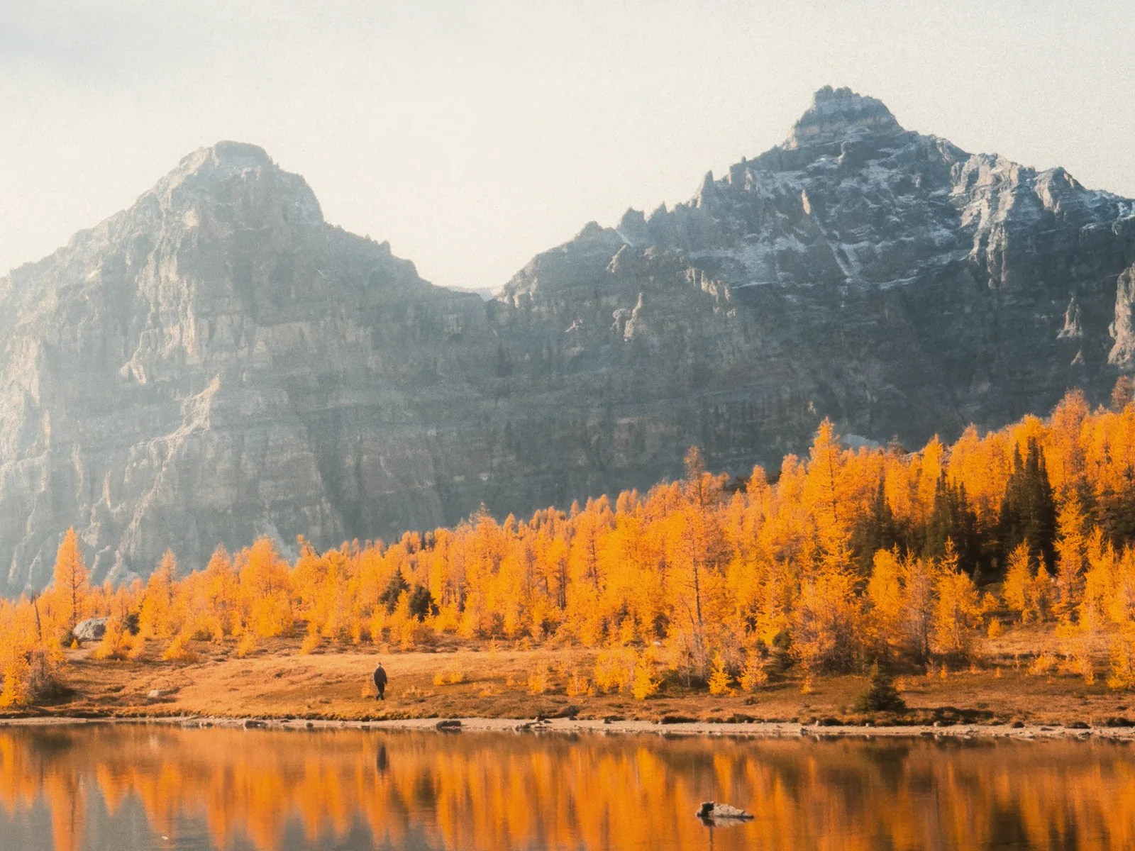Golden larches reflected in a Larch Valley lake below rugged peaks.