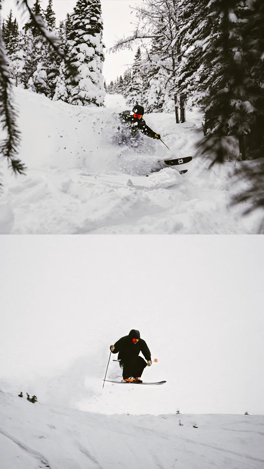 Powder skier in snowy trees vertical.